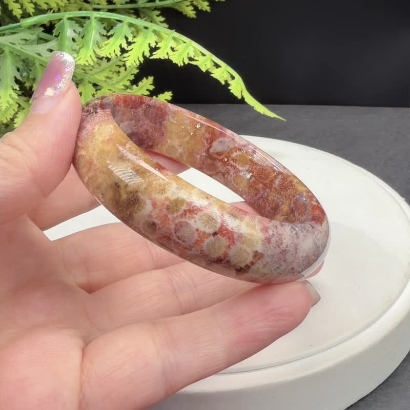 砖红紫珊瑚玉手镯 55MM 高瓷玉化 柠檬片凤尾纹 友谊平衡生机幸运 - 手链/手环 - 玉石 