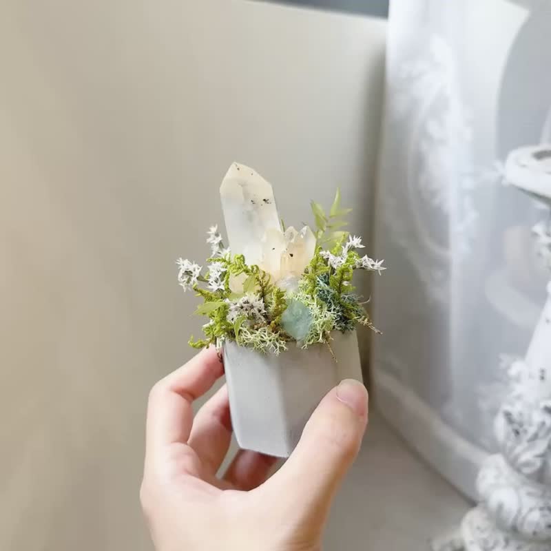 清透黄 白水晶簇-午后晚霞。永生叶材绿植栽 - 植栽/盆栽 - 水晶 白色