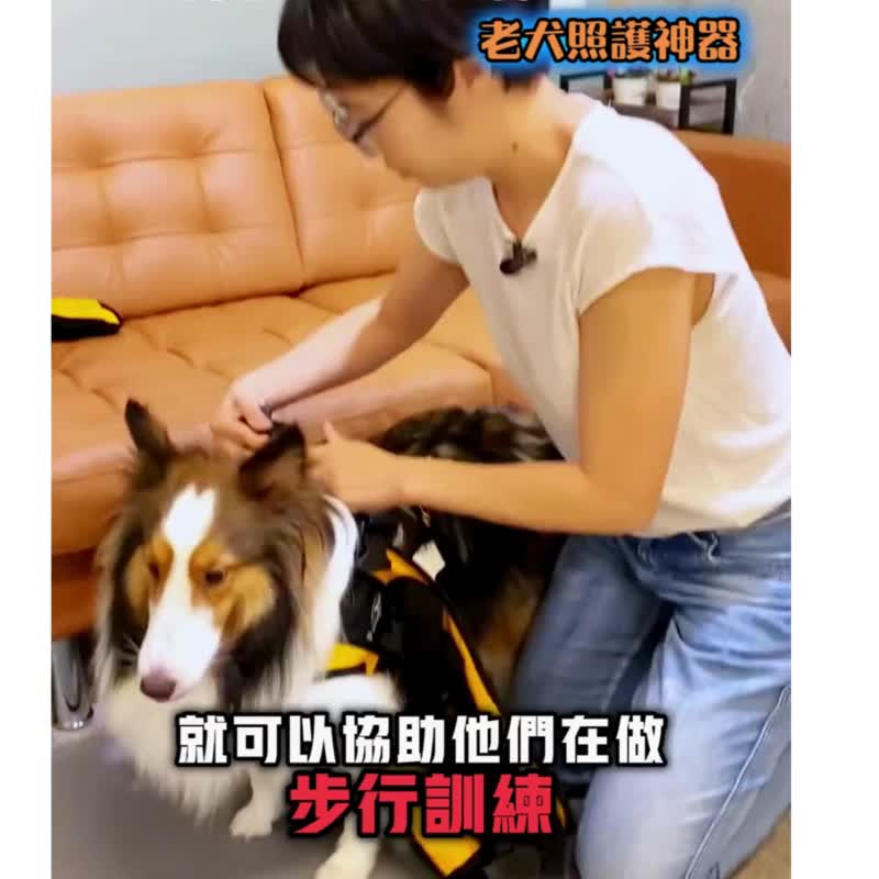 宠物辅助衣 后瘫款 L号 高龄犬 行动不便 宠物辅具 协助行走 - 其他 - 其他人造纤维 