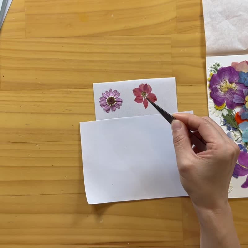 【DIY圣诞礼盒】 押花贴纸 在线教学+材料包 - 植栽 - 纸 