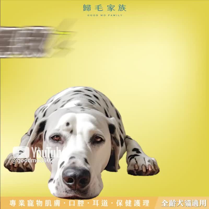 【归毛家族】Good宝系列宠物保健品－舒压宝4入组 - 其他 - 其他材质 