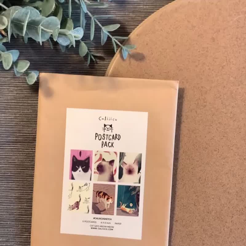 猫咪明信片组 6入 PS006 4x6 英寸 - 卡片/明信片 - 纸 橘色
