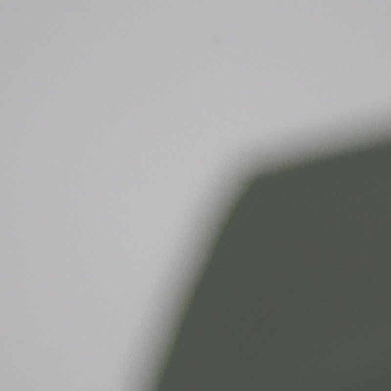 ni.kou 纯银 花边 猫咪 流苏 动物 项链 (六色可选) - 项链 - 其他金属 