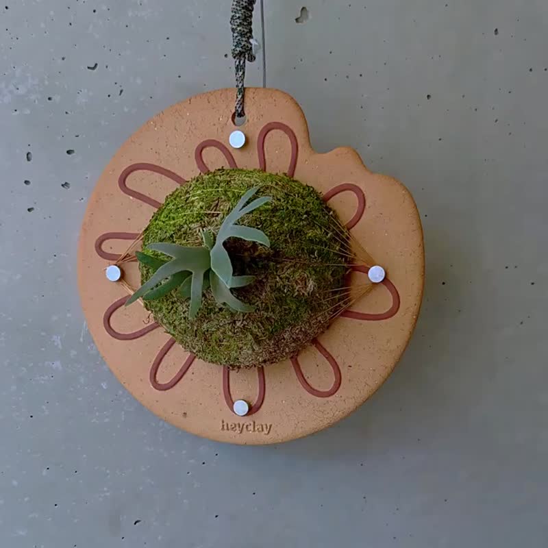 日光粗陶植板  手工原创挂板鹿角蕨上板蝴蝶兰球兰板植 - 植栽/盆栽 - 陶 