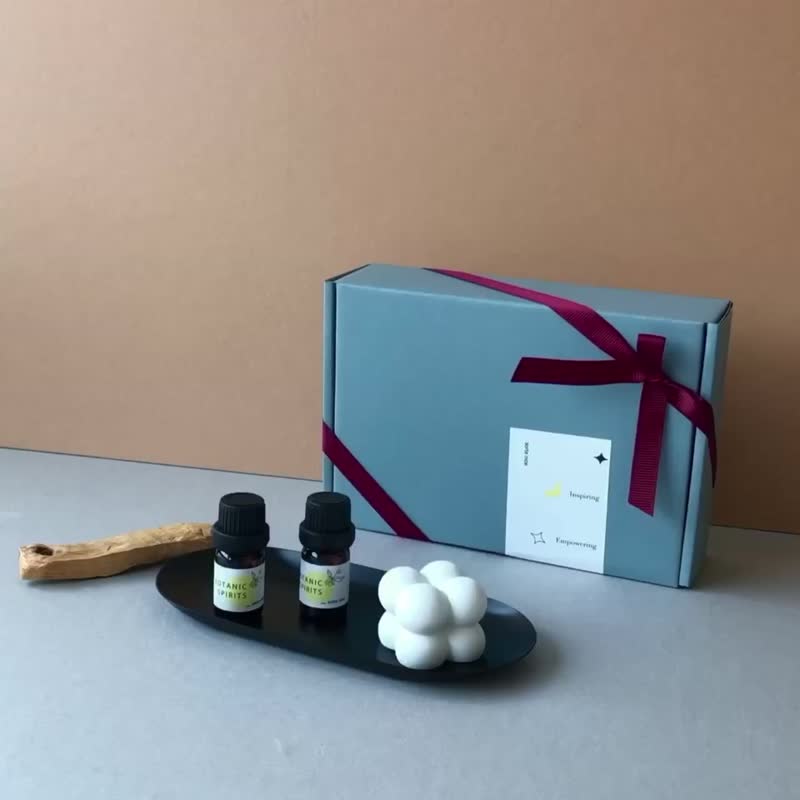 扩香石 搭配任两入天然精油系列 - 香薰/精油/线香 - 水泥 白色