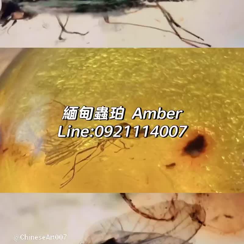 天然缅甸琥珀 虫珀 1.56克 Myanmar Amber 金珀 琥珀 白垩纪 时空 - 吊饰 - 半宝石 金色